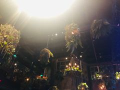 -同仁四季椰子鸡(海岸城天利店)
