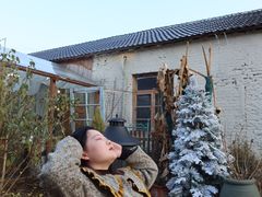 -Jo's Garden