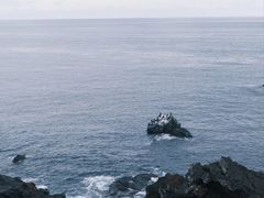 -涉地可支