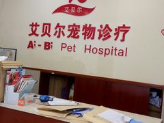 -艾贝尔宠物诊疗