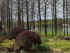 -尚贤河湿地