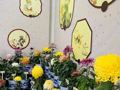 -杭州植物园
