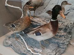 -北京中医药大学-中医药博物馆