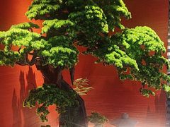 -阿伟海鲜楼·福建菜(延寿店)