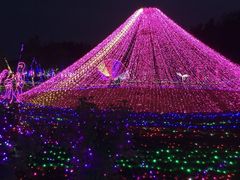 -顺鑫绿色度假村