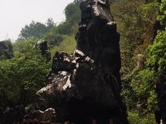 -玉石林风景区