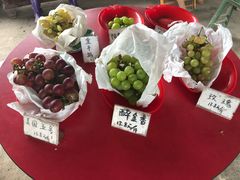 -马陆小张葡萄园农家乐