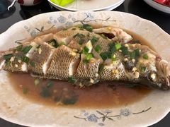 -天鹅到家·保姆月嫂育儿嫂(浦东店)