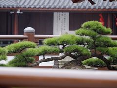 -龙华寺