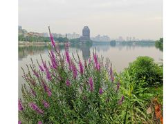 -眉山湿地公园(东坡区)