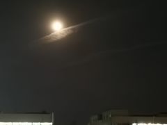 -大连外国语大学(旅顺校区)