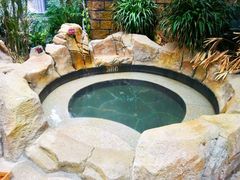 -悦隆庄温泉度假酒店