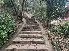 -岳麓山风景名胜区