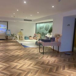 -明宇集团·积木枝芽母婴健康管理中心(天府店)