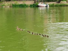 -朝阳公园游乐园