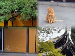 -西园戒幢律寺