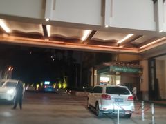 -三亚国光豪生度假酒店-椰语堂清补凉(国光豪生店)