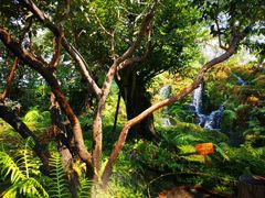 -Chom Cafe and Restaurant