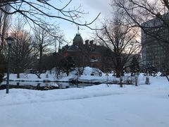 广场湖泊-北海道厅旧本厅舍(旧本庁舎)