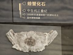 -温州博物馆