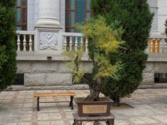-西宁南关清真寺