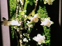 -仟汇足道·SPA(秀洲总店)