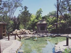 -营口金泰珑悦海景大酒店