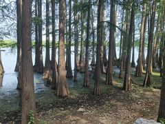 -东湖落雁景区