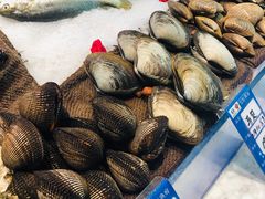 -宝轩渔府·老字号海鲜·正宗津菜(水上店)