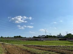 -紫颐香薰山谷景区