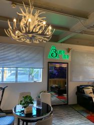 -雕哥的纹身店A3 TATTOO&纹身培训