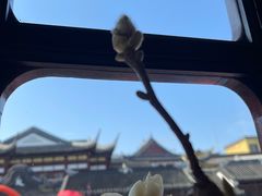 -豫园湖心亭茶楼