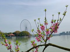 -无锡蠡湖国家湿地公园-蠡园
