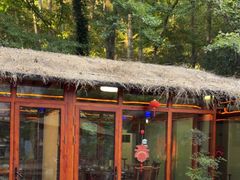 -小小饭店·休闲农庄·安吉松树林里的农家菜