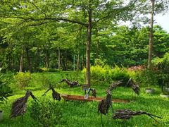 -福田红树林生态公园