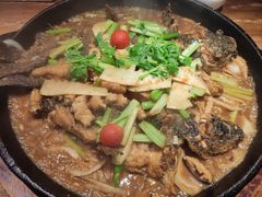 -老板恋上鱼(振华商厦店)