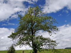 -硗碛藏寨·神木垒景区