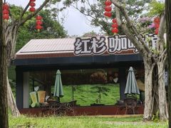 -佛冈森波拉度假区
