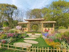 -上海共青森林公园