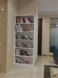 -碧莲盛·不剃发植发