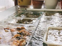 -公寓家常菜馆(海军博物馆店)