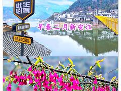 -新安江山水画廊风景区