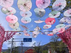 -北京凤凰岭