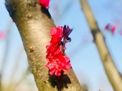 -白鹭湾湿地公园