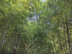 -天目湖山水园