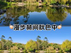 -五凤溪古镇
