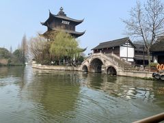 -鲁镇
