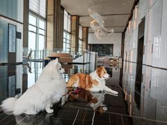-深圳国际会展中心希尔顿酒店(前海华发冰雪世界店)