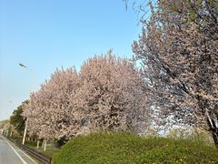 -渭河城市绿地运动公园