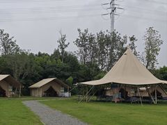 -杭州湾海上花田景区